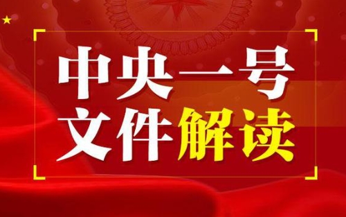 中央一号文件发布 打击乡村传销