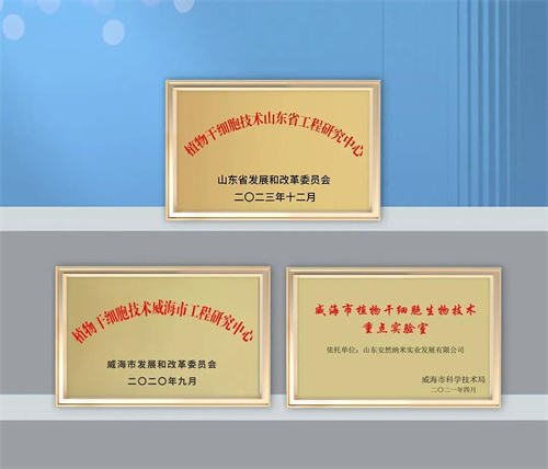 安然集团拜访阿拉伯联盟驻华大使馆活动 开启一带一路新征程12.jpg