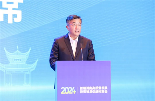 首届湖南高质量发展投资贸易促进招商会在益阳高新区举行3.jpg