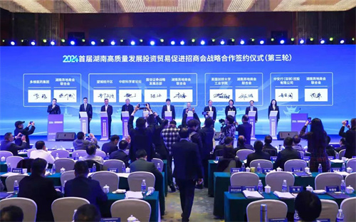 首届湖南高质量发展投资贸易促进招商会在益阳高新区举行9.jpg