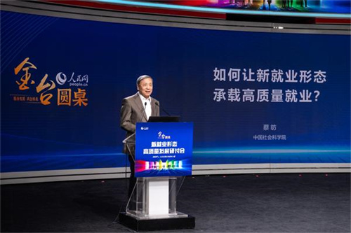 新就业形态高质量发展研讨会召开 安利助力高质量充分就业4.jpg