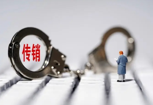 宁夏盐池公安成功破获一起“亿嗨消费金”平台网络传销案