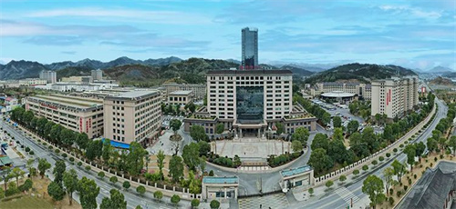 理想华莱奏响“新年奋斗曲” 开启2025新征程