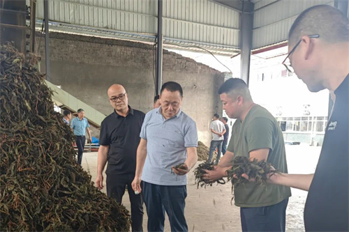 理想华莱生产管理团队深入一线调研原料供应链