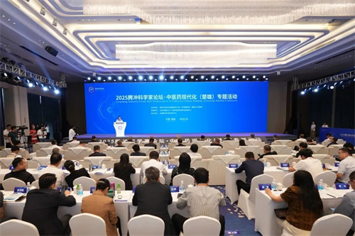 安然集团再次受邀出席2025腾冲科学家论坛