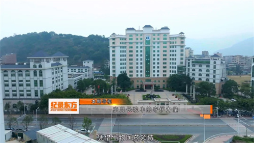 锁定CCTV手机电视“发现之旅” 感受安发的健康守护力量