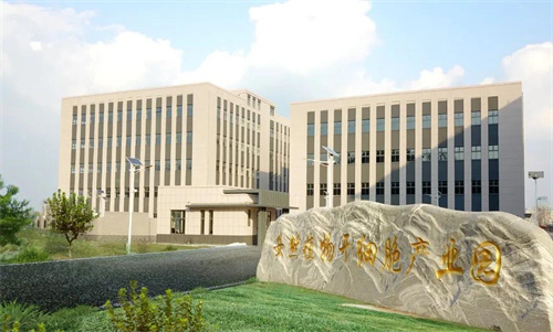 重磅消息！新华网聚焦报道安然集团植物干细胞技术