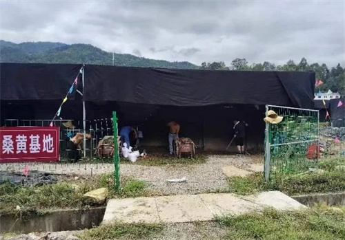 康美来组织支援团队赴参访基地改造大棚条件