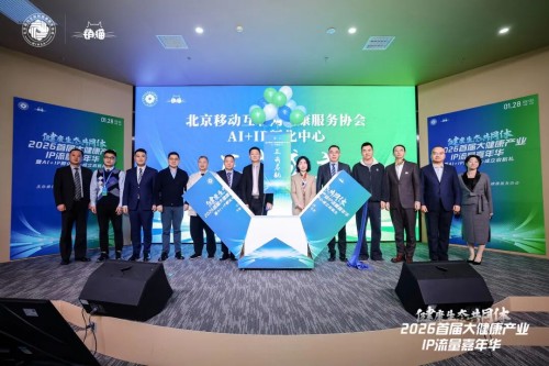 2026首届大健康产业IP流量嘉年华暨AI+IP孵化中心成立启航礼举办