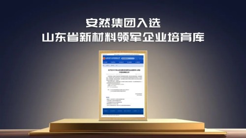 安然集团成功入选山东省新材料领军企业培育