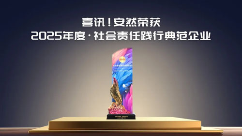 载誉前行！安然集团荣获 2025 年度社