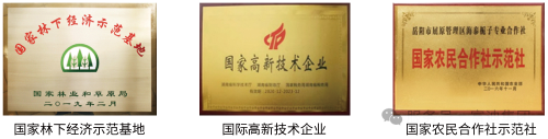 图片 3.png