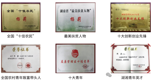 图片 5.png