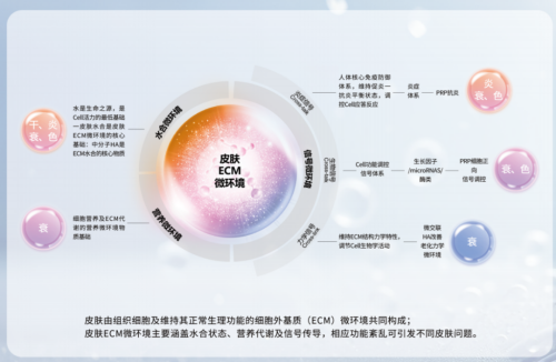 图片 11.png
