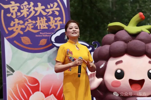 图片 13.png