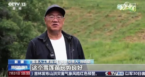 图片 4.jpg