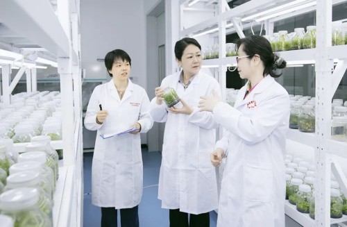 图片 13.jpg