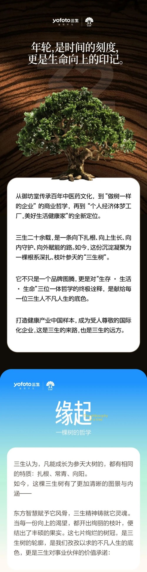 图片 1.jpg