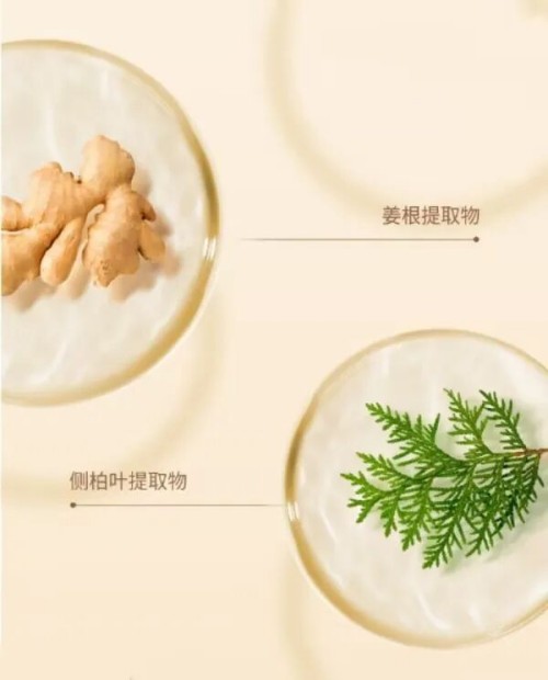 图片 6.jpg