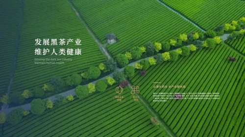 图片 8.jpg