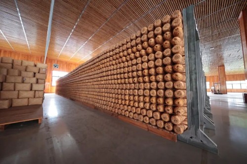 图片 6.jpg