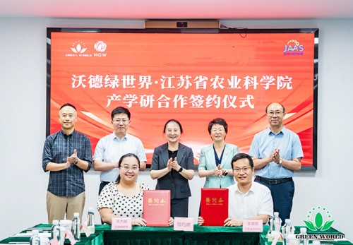 图片 10.jpg