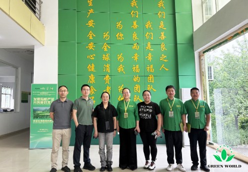 图片 4.jpg