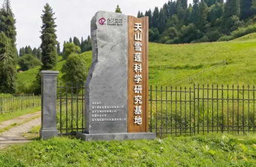 图片 5.jpg