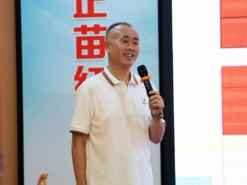 图片 4.jpg