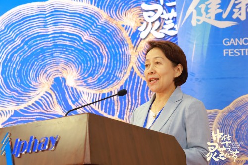 图片 4.jpg