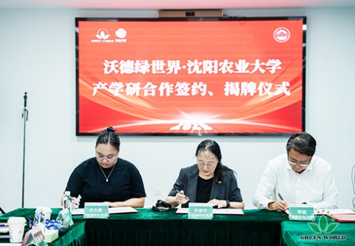 图片 7.jpg
