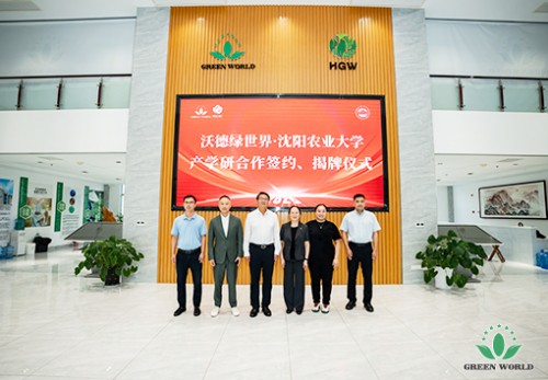 图片 9.jpg