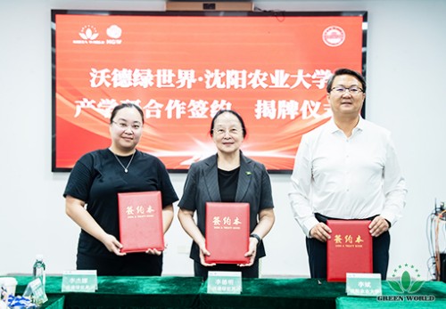 图片 8.jpg