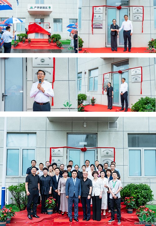 图片 10.jpg