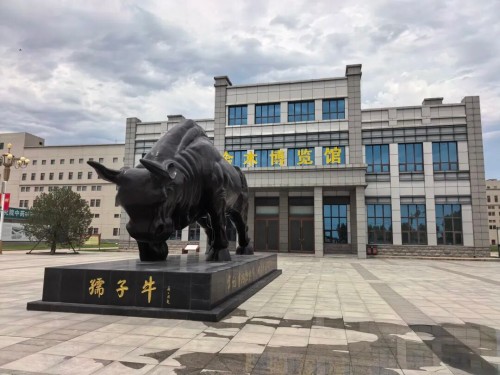 图片 1.jpg