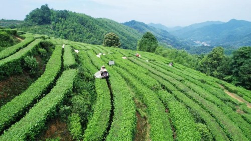 图片 10.jpg