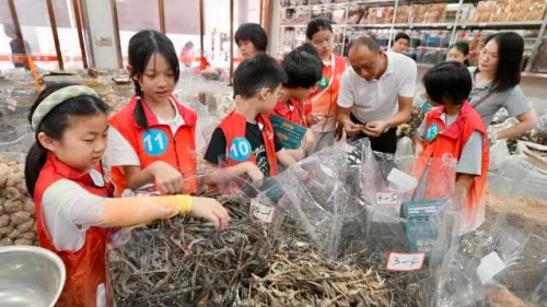 图片 6.jpg
