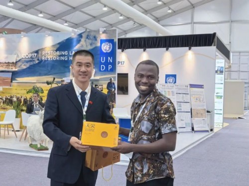 理想华莱走进联合国COP17大会：以中国