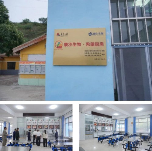 图片 9.jpg