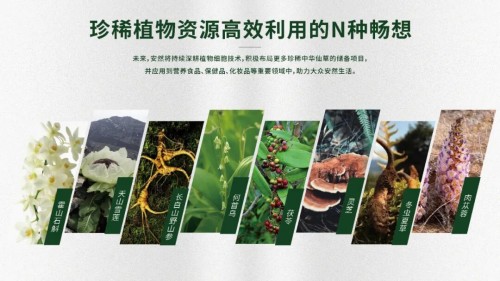 图片 10.jpg