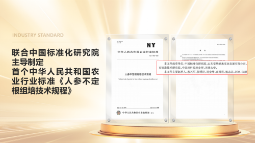 图片 13.png