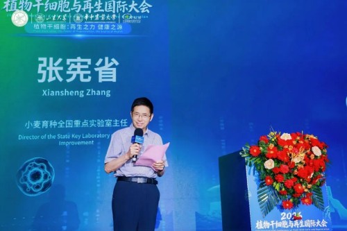 图片 4.jpg