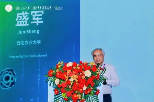 图片 8.jpg