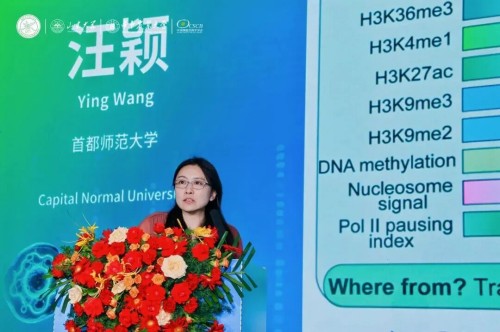 图片 9.jpg
