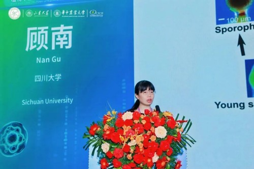图片 17.jpg