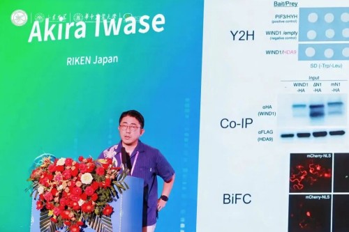 图片 19.jpg