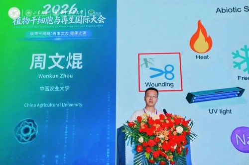 图片 28.jpg