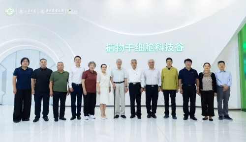 图片 45.jpg