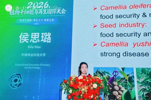 图片 31.jpg