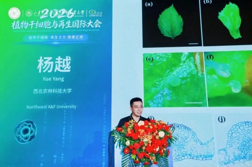 图片 32.jpg